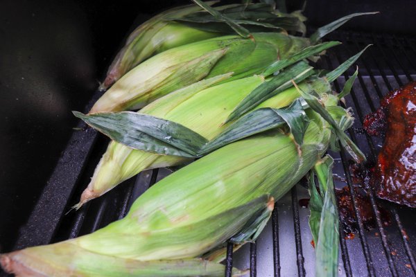 Grilled Corn in the Husk