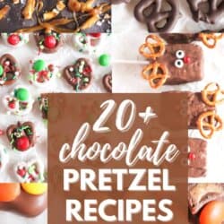 20+ Chocolate Pretzel Recipes