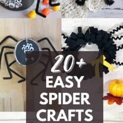 20+ Easy Spider Crafts