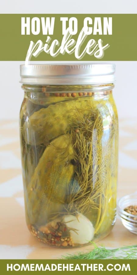 Easy pickle recipe with garlic, dill, and spices in a large mason jar.