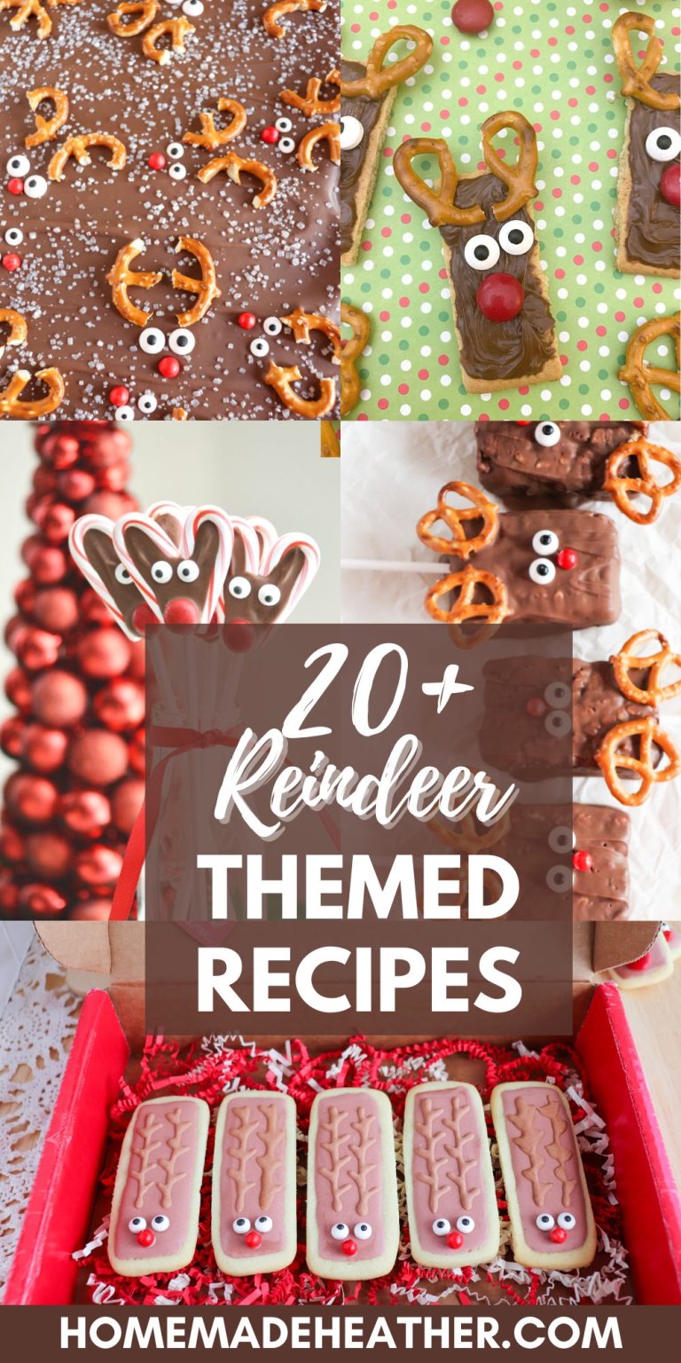 20+ Fun Reindeer Themed Recipes