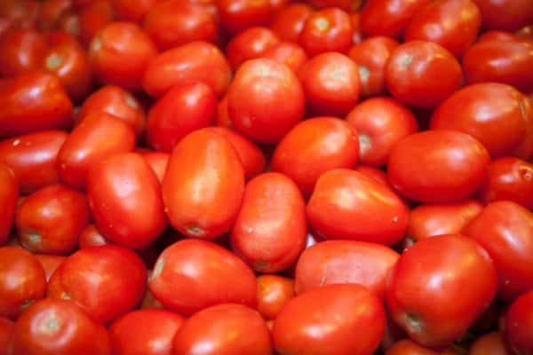 tomatos for canning