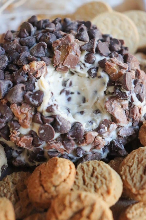 Chocolate Chip Cheese Ball