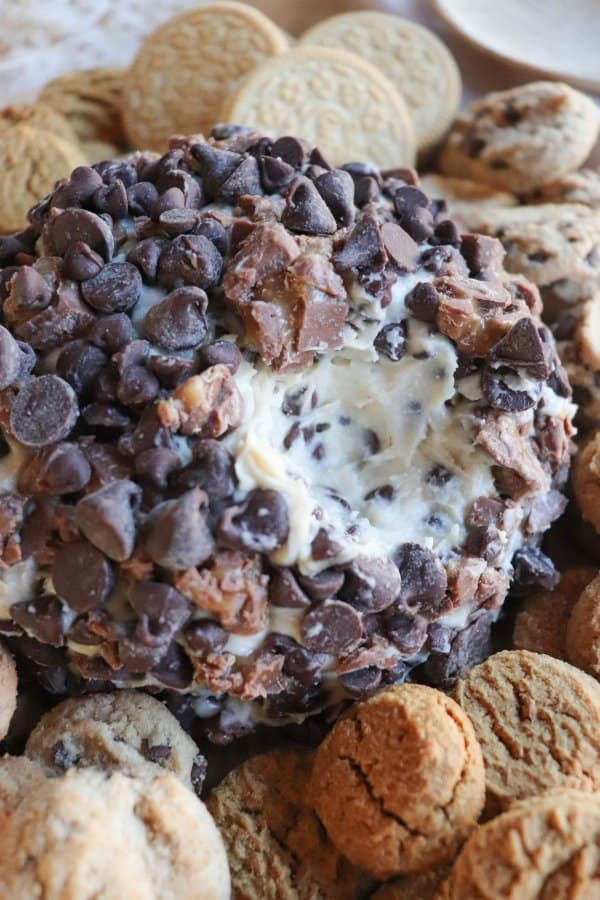 Chocolate Chip Cheese Ball