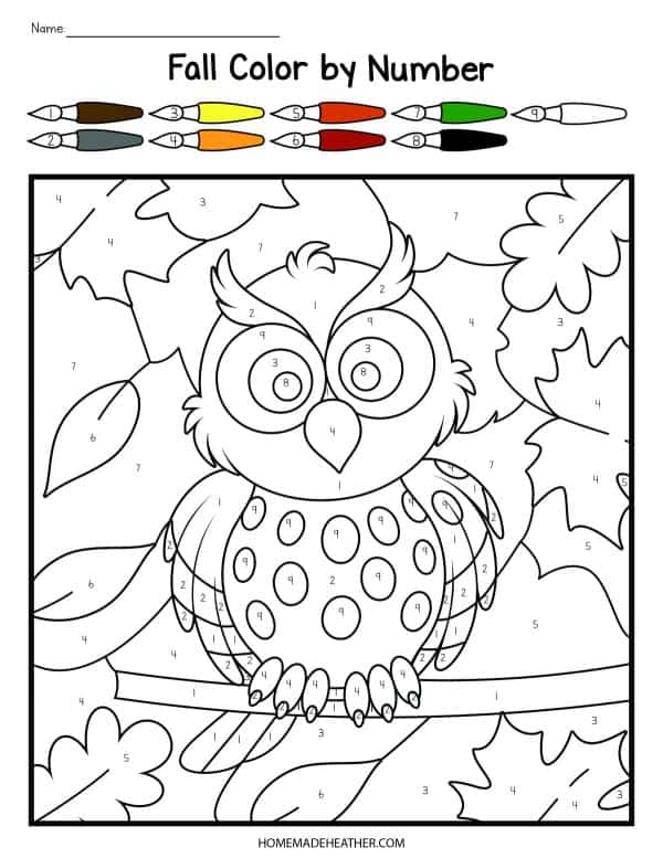 Owl Color By Number Printables