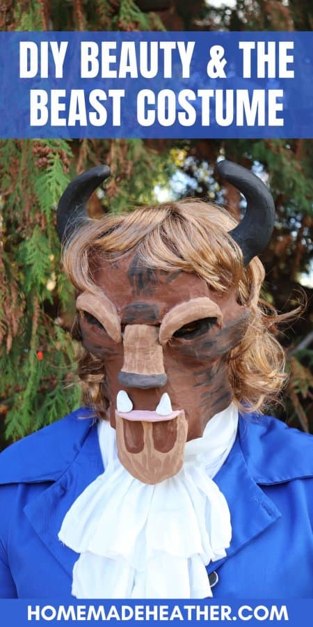 DIY Beauty & the Beast Mask