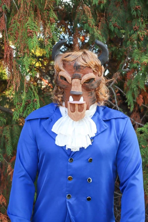 DIY Beauty & the Beast Mask 