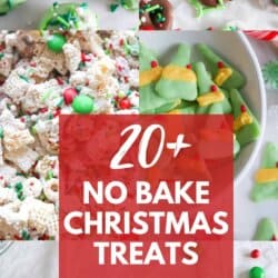 20+ No Bake Christmas Treats