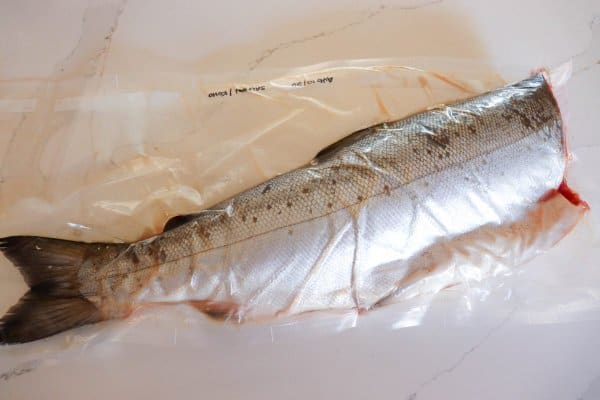 Whole salmon filet on a white counter.