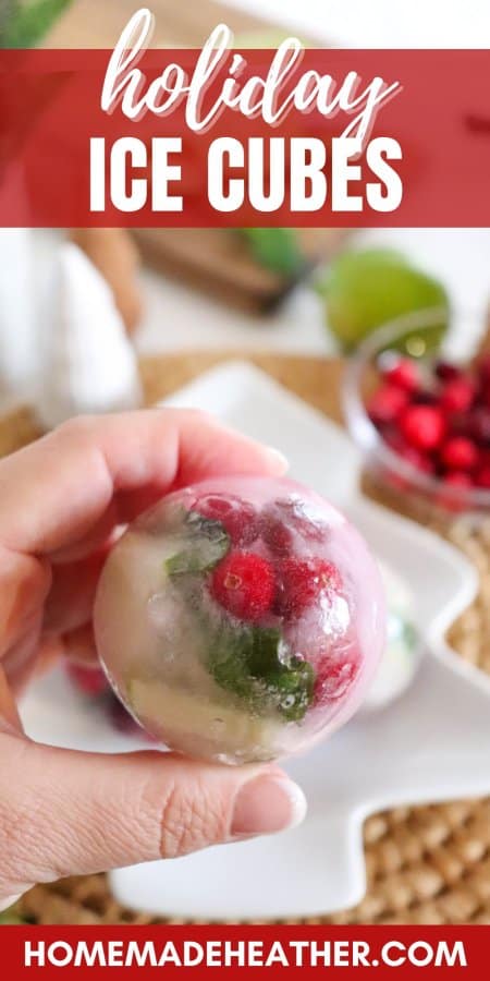 Holiday Infused Ice Cubes