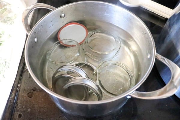 How To Can Salmon Process