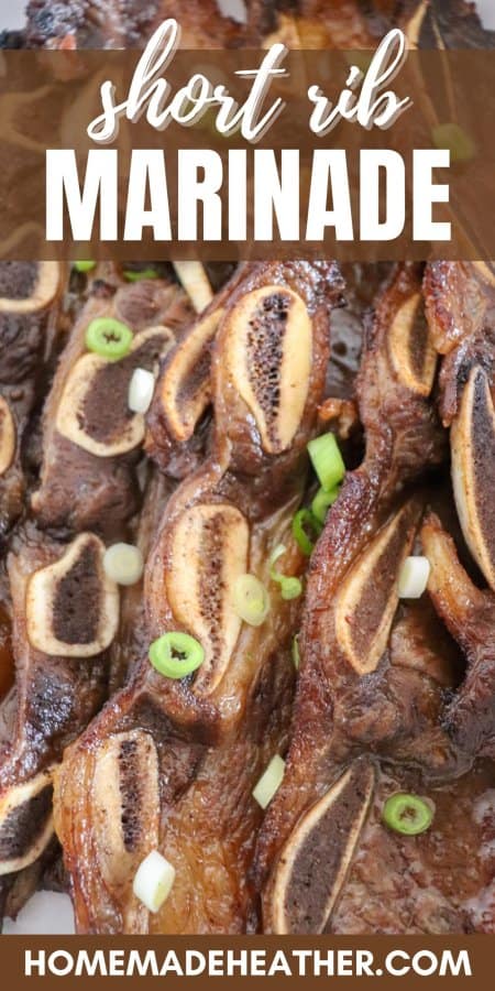 Short Rib Marinade