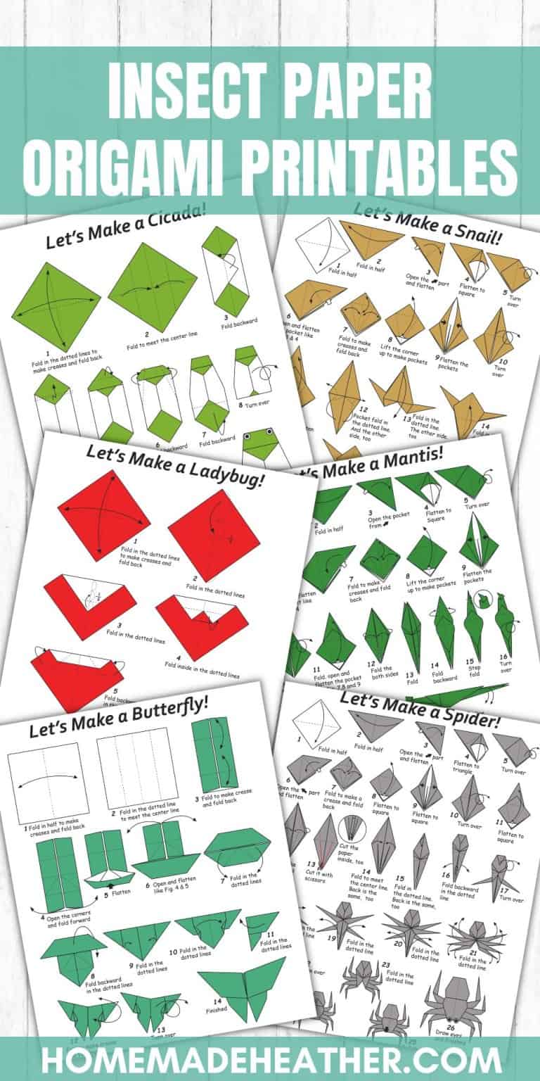 Insect Paper Origami Printables