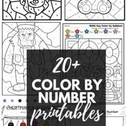 20+ Color By Number Printables