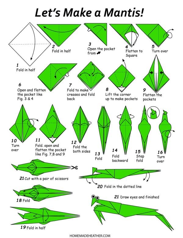 Insect Paper Origami Printables