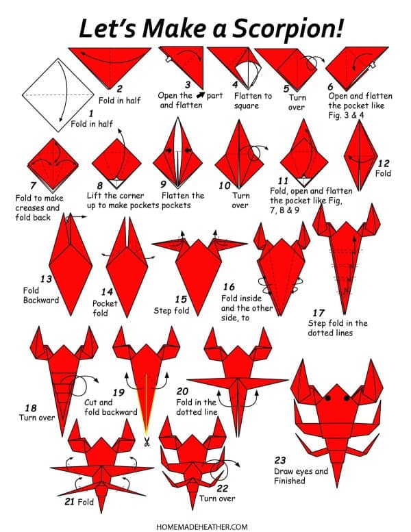 Insect Paper Origami Printables