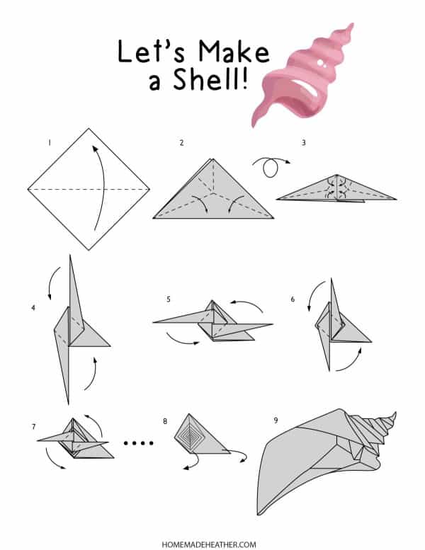 Step by step visual guide to an origami shell.