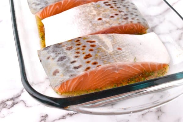 salmon marinating