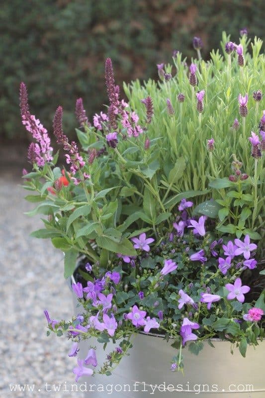 bee friendly planter