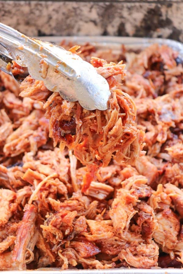 Tongs holding up pulled pork over a tray full.