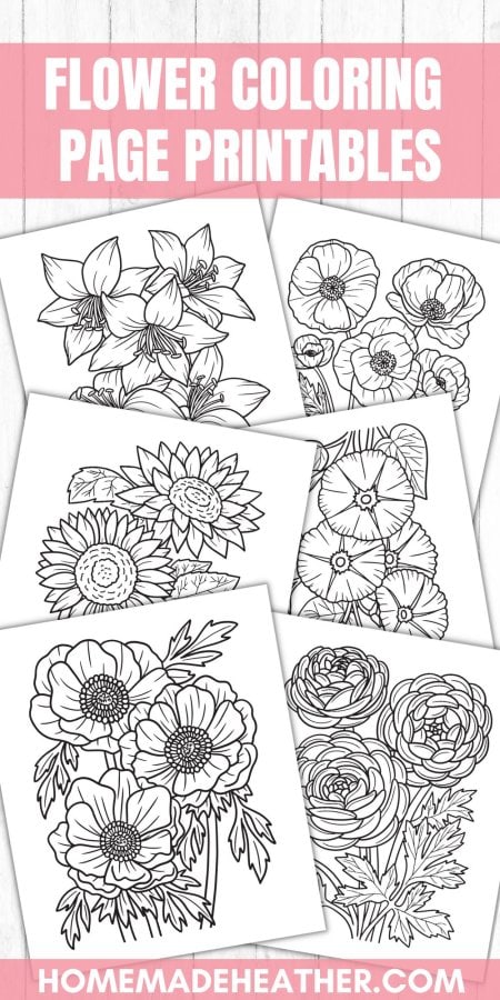 A collection of printable flower coloring pages.