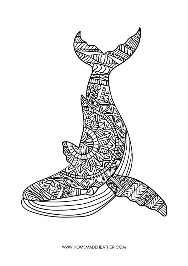 Whale Animal Coloring Page