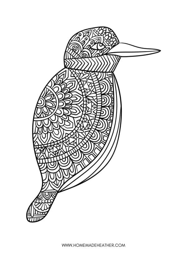 Bird Animal Coloring Page