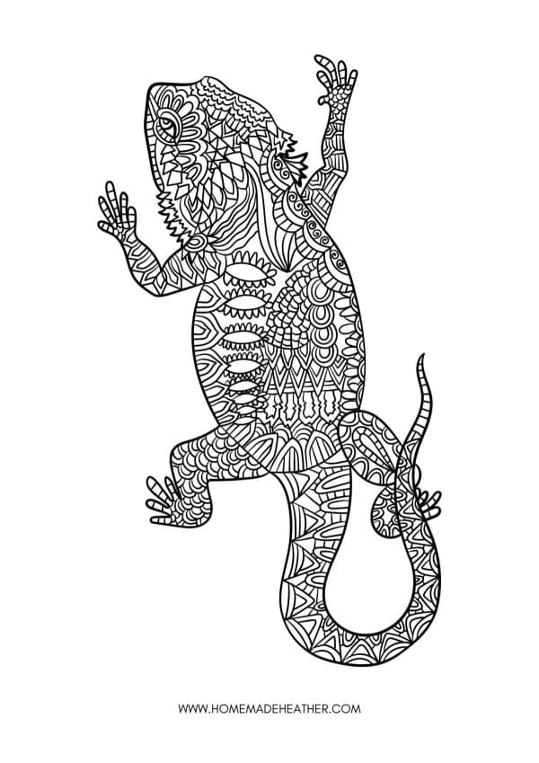 Iguana Animal Coloring Page