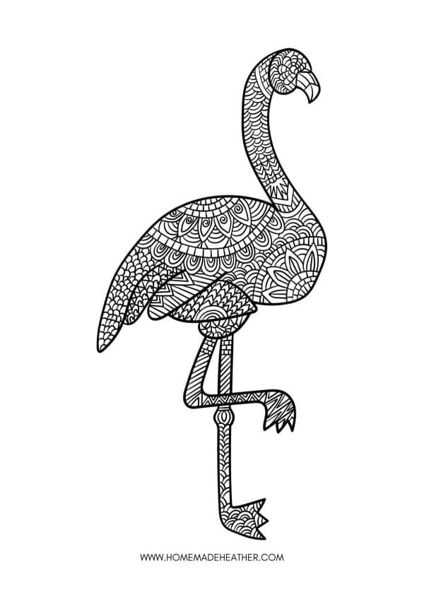Flamingo Animal Coloring Page