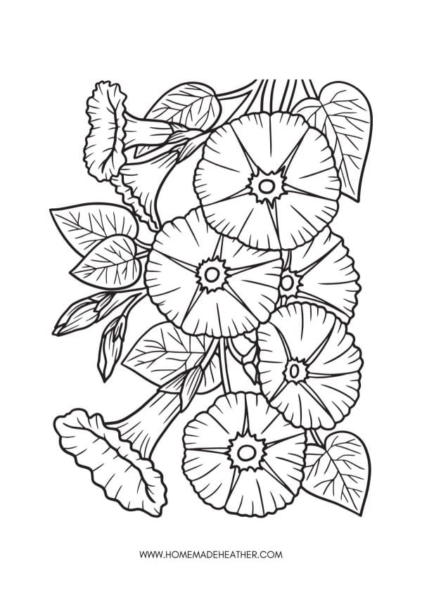 Flower coloring pages that are ready to print.