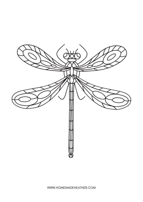 dragonfly coloring page