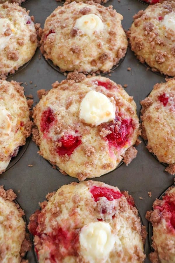 Orange Cranberry Muffin Recipe