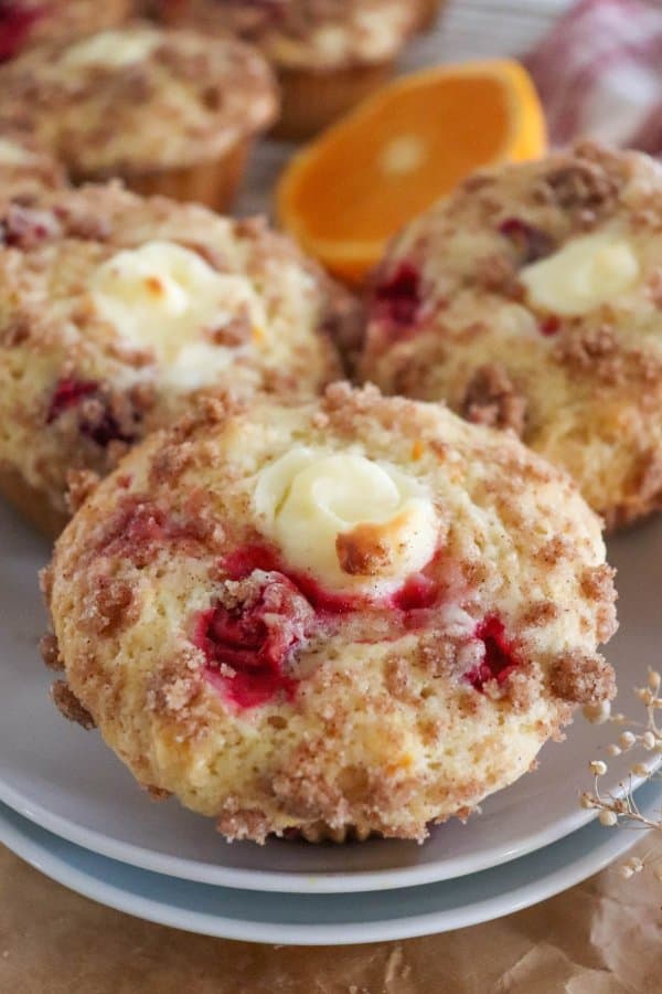 Panera Orange Cranberry Muffin Recipe