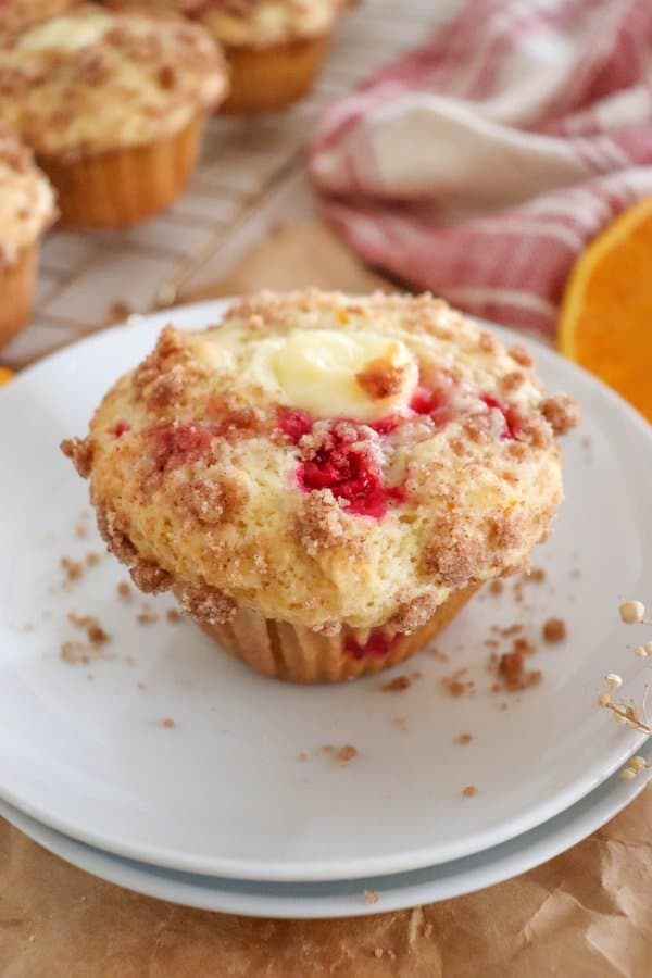 Orange Cranberry Muffin Recipe