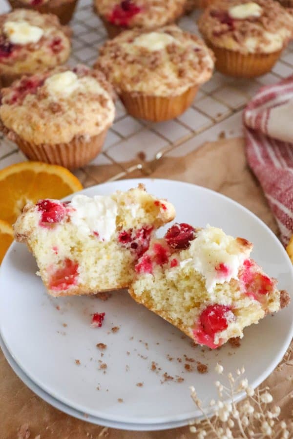 Orange Cranberry Muffin Recipe