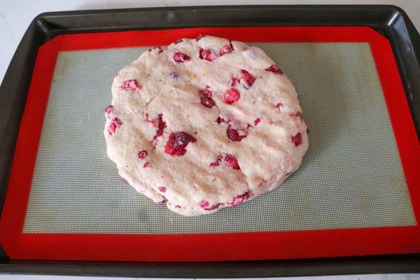 Cranberry scone dough formed into disc