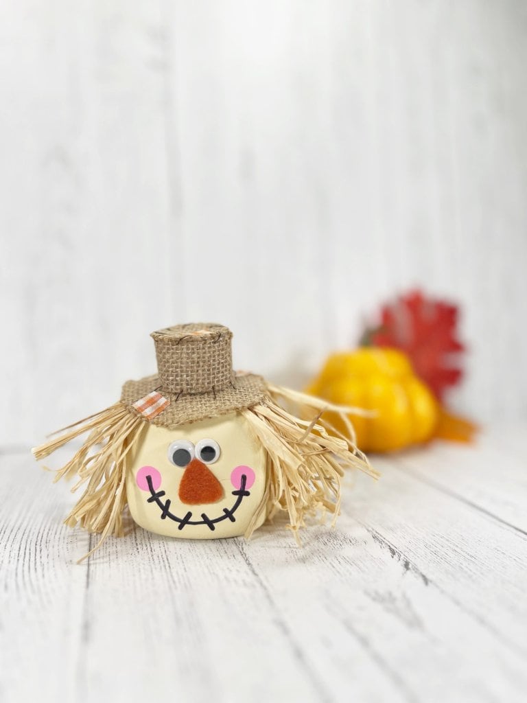 Scarecrow Dollarstore Craft