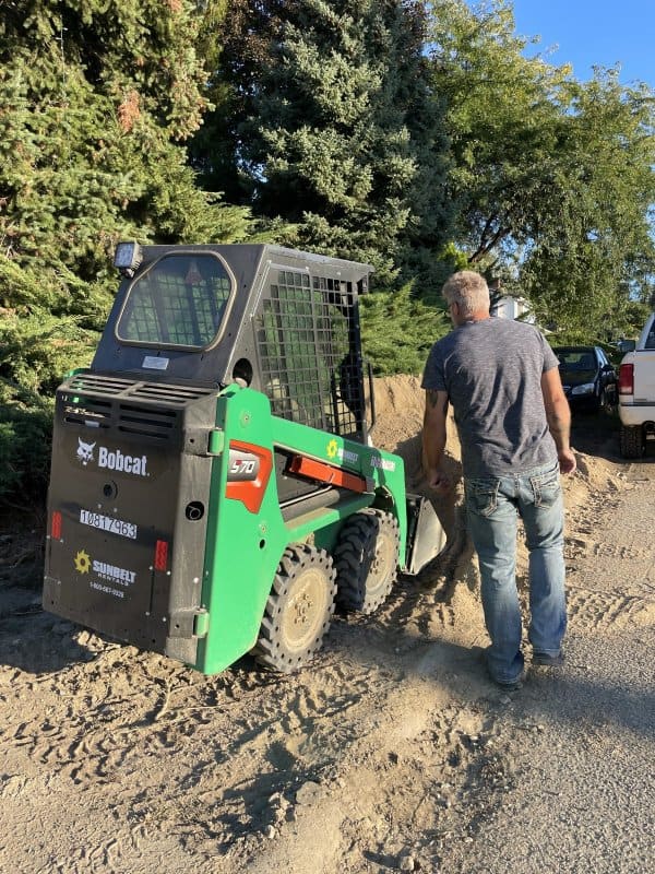 Bobcat