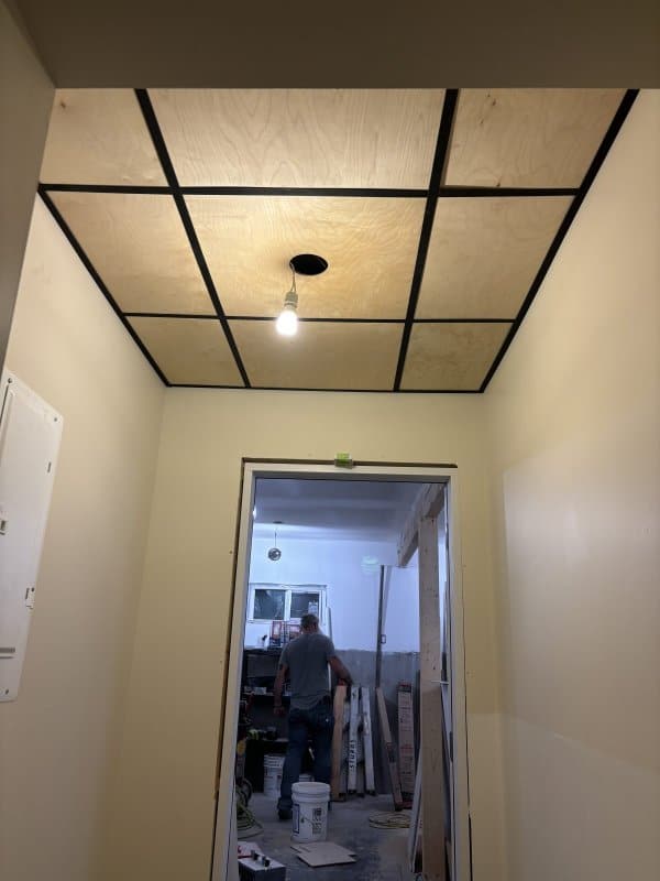 Complete wood drop ceiling without light fixture