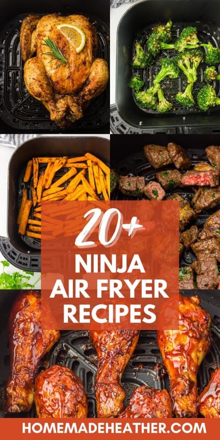 20+ Ninja Air Fryer Recipes