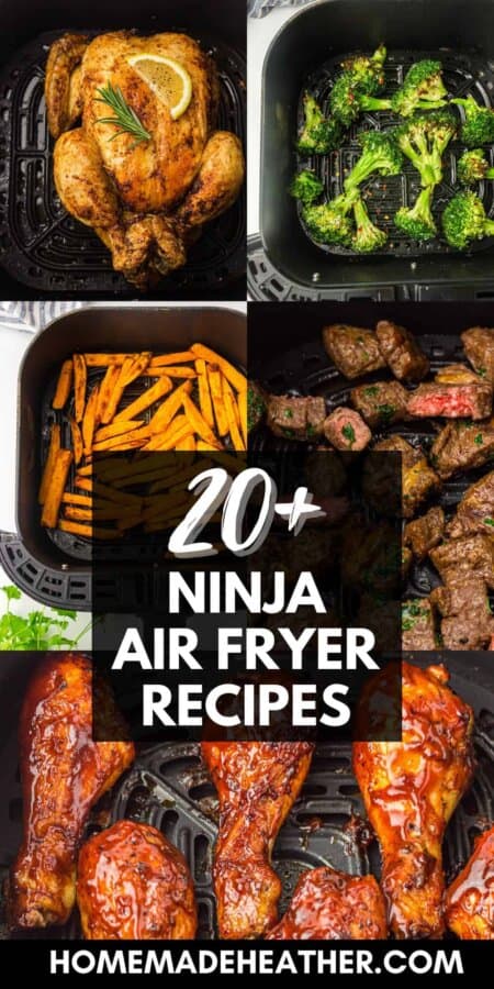20+ Ninja Air Fryer Recipes