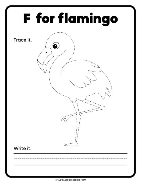 Outline of flamingo to trace and color in.