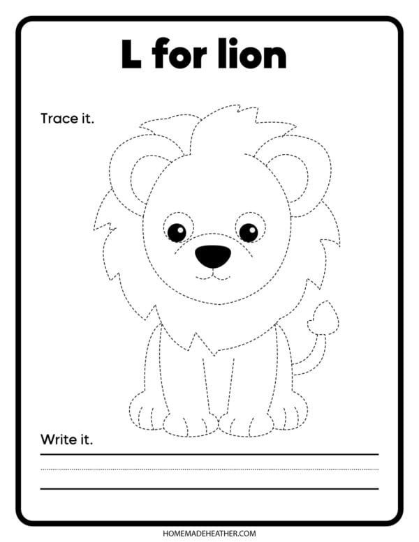 Outline of a lion to color and trace.