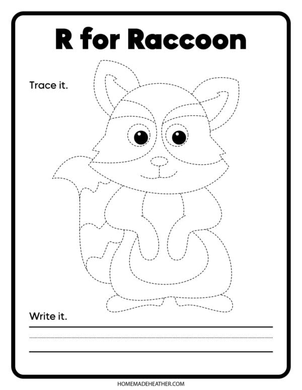 Outline of a racoon to trace and color.