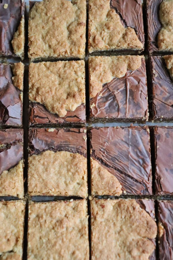 Close up of Starbucks oat fudge bar cut into squares.