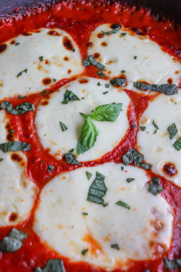 Close up of mozzarella cheese rounds in a bed of tomato sauce covering chicken in a cast iron skillet topped with fresh chopped basil.