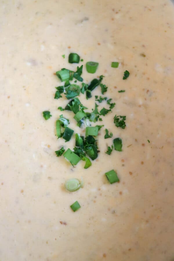 Close up of queso cheese sauce with green onion and dice jalapeno garnish.