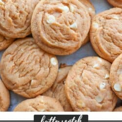 Baked butterscotch pudding cookies with white chocolate chips on a parchment paper lined baking sheet.