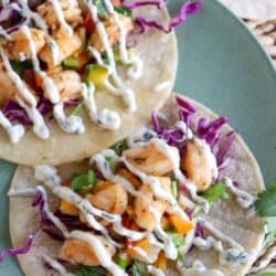 White corn tortilla with shredded red cabbage, fresh salsa and grilled shrimp garnished with a drizzle of cilantro lime crema.