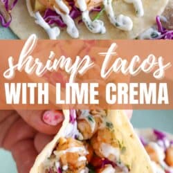 White corn tortilla with shredded red cabbage, fresh salsa and grilled shrimp garnished with a drizzle of cilantro lime crema.